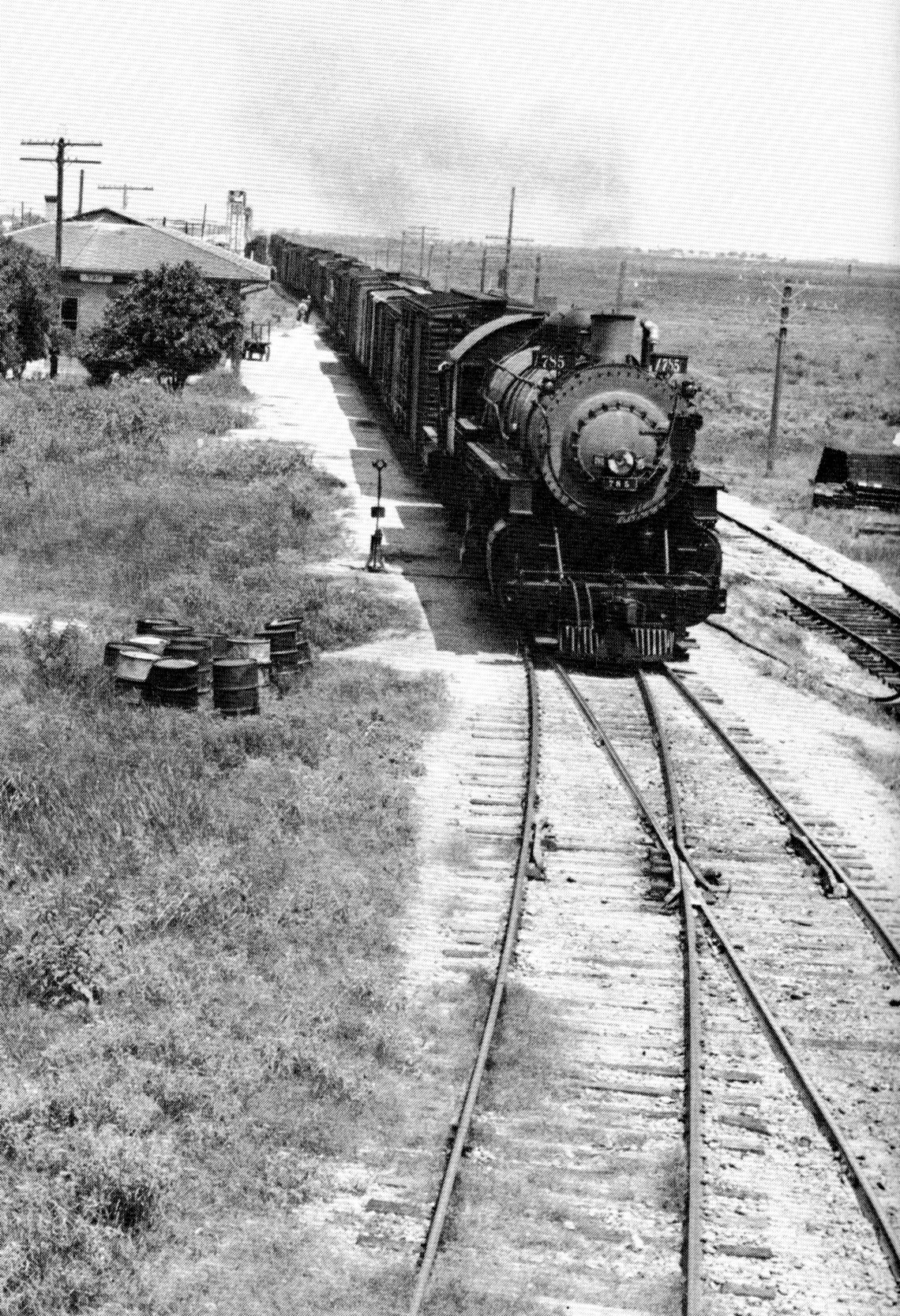 TNO 785 at Taft