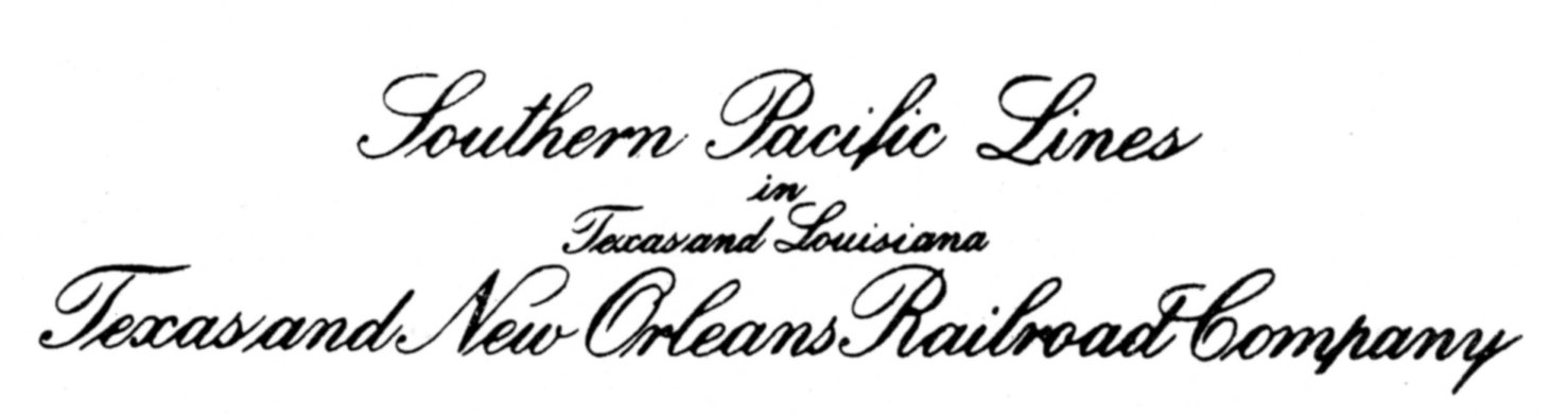 TNORR Script